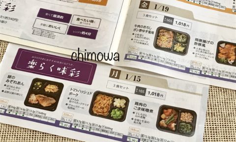 参考 夕食ネットと同じヨシケイの冷凍弁当シリーズ楽らく味彩の写真