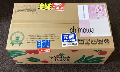 らでぃっしゅぼーやから段ボールで届いたお試しセットの写真