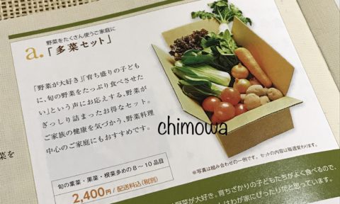 ビオ・マルシェ『入会のご案内』よりお試しセットで届いた野菜セットの写真