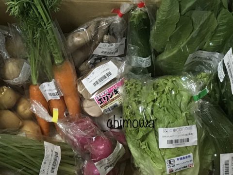 ココノミから届いた農薬・化学肥料不使用、一部有機JASマーク付き野菜の写真